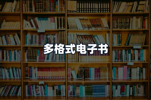 多格式电子书